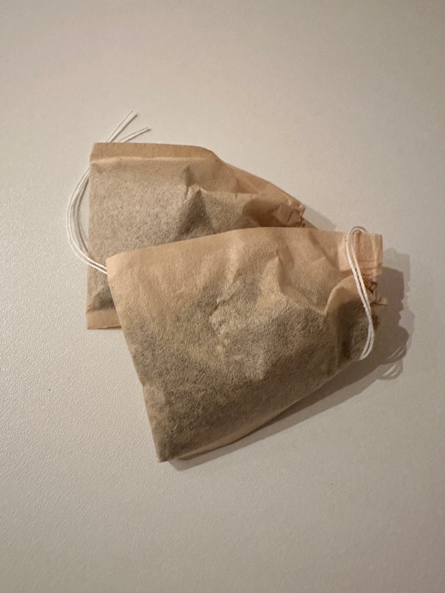 TEA & FREE TURKEY TAIL