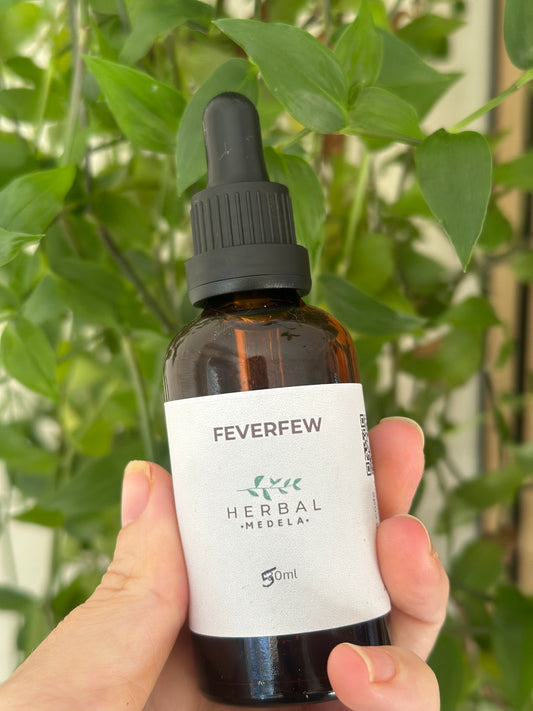FEVERFEW