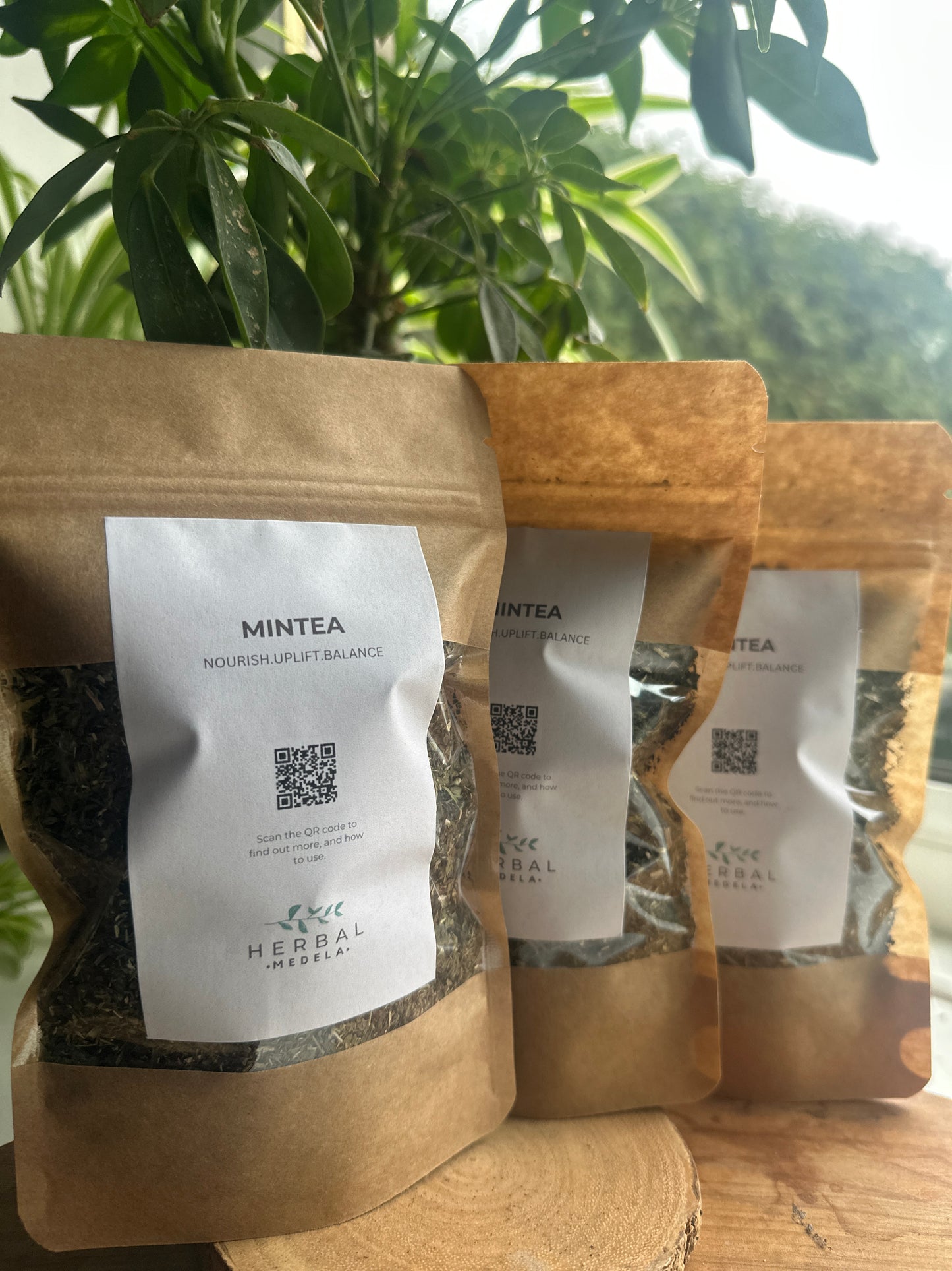 MINTEA